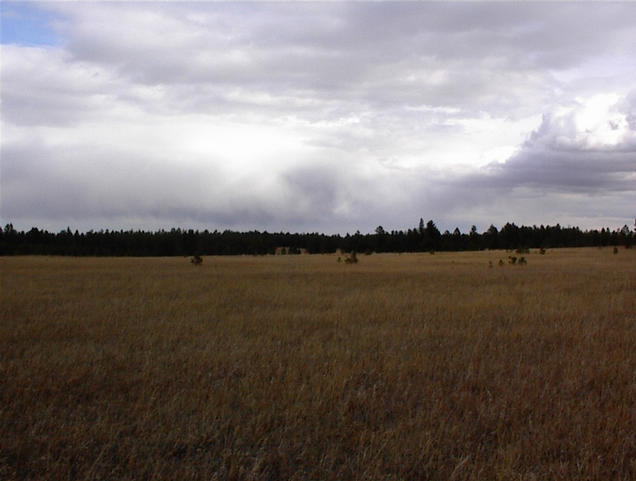 East view from the confluence