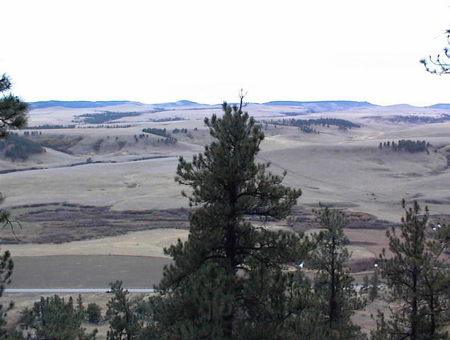 South view from the ridge near the confluence