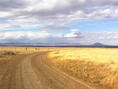 #6: View of Judith Mountains and Black Butte