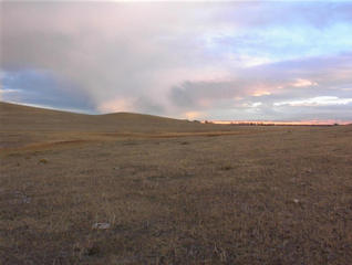 #1: East view from the confluence