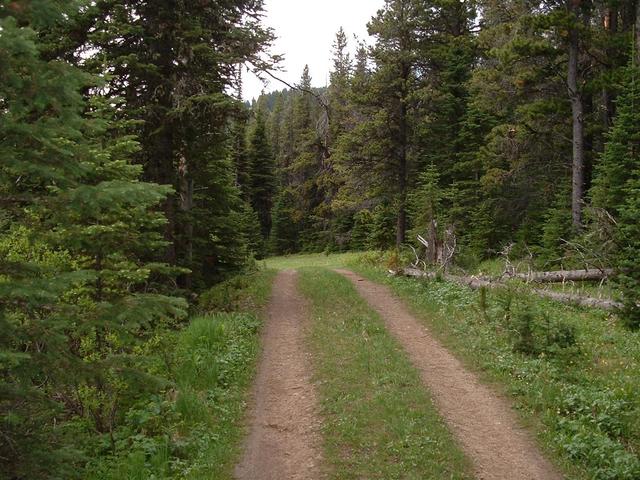 View down two-track road.