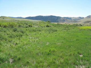 #1: looking south