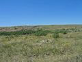 #4: View west