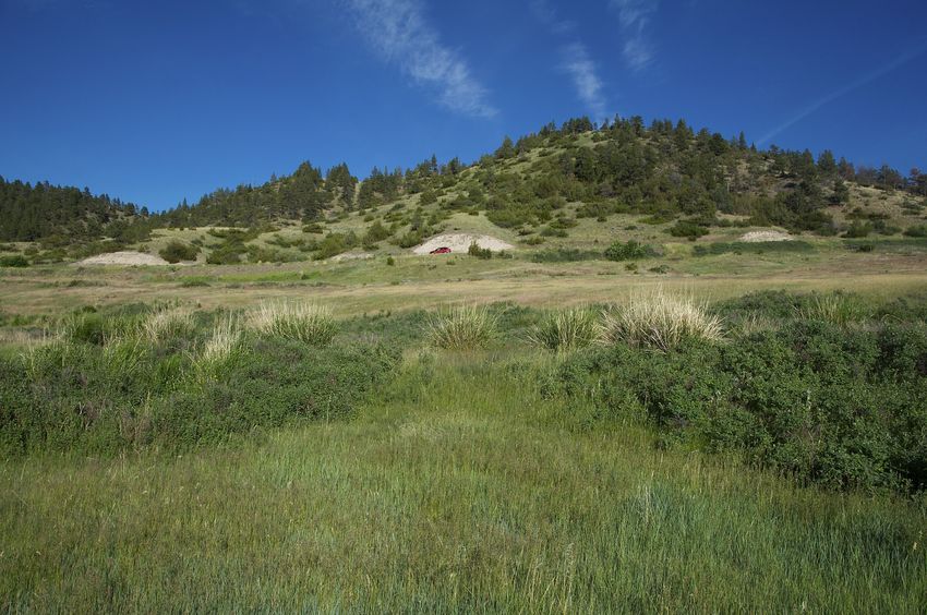 View East (towards Beartooth Road)