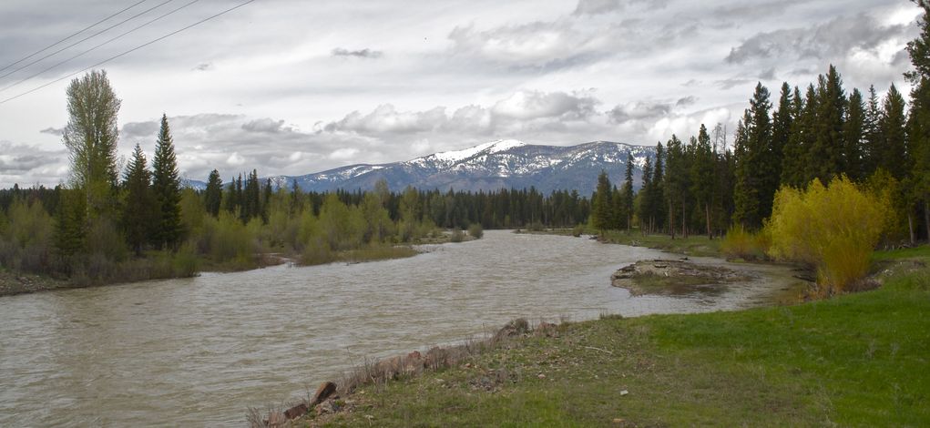 Blackfoot River (North Fork), just west of the confluence point