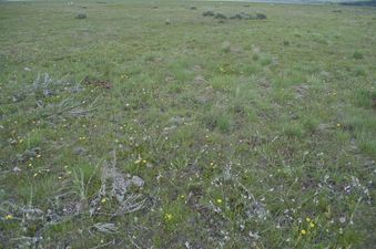 #1: The confluence point lies in a meadow, in the Blackfoot River (North Fork) valley