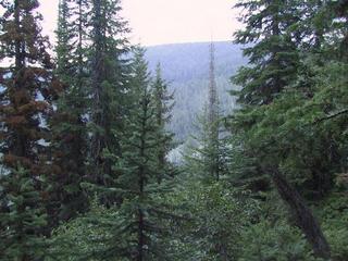 #1: View to the east from the confluence