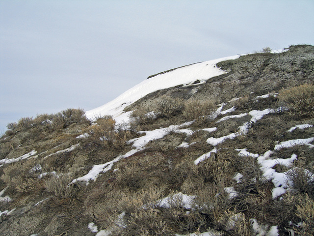 View northeast from confluence