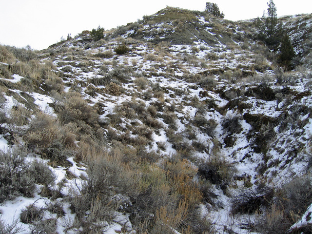 View southeast from confluence