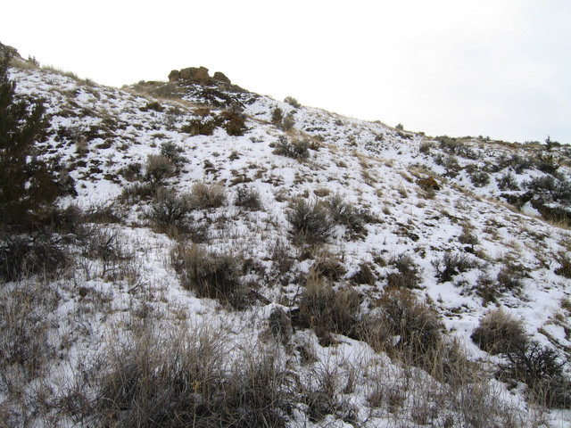 View southwest from confluence