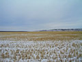 #3: View east