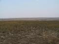 #3: View to the south from the confluence
