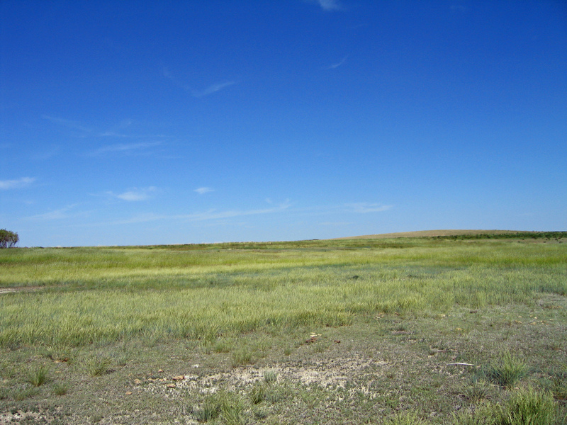 View east