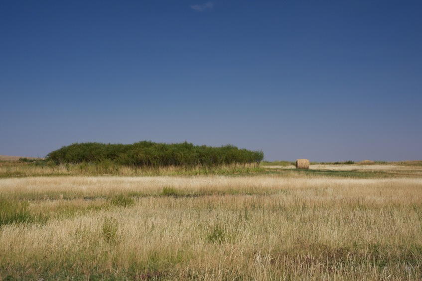 A zoomed-in view to the East