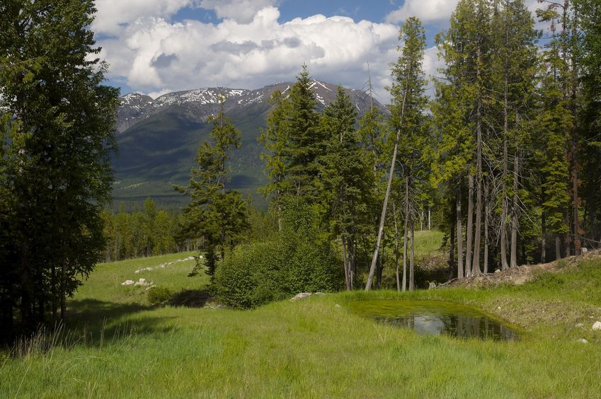 View from Chintzey lane, about 1/3 mile from the confluence point