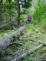 #6: Heading back down - happy hikers.