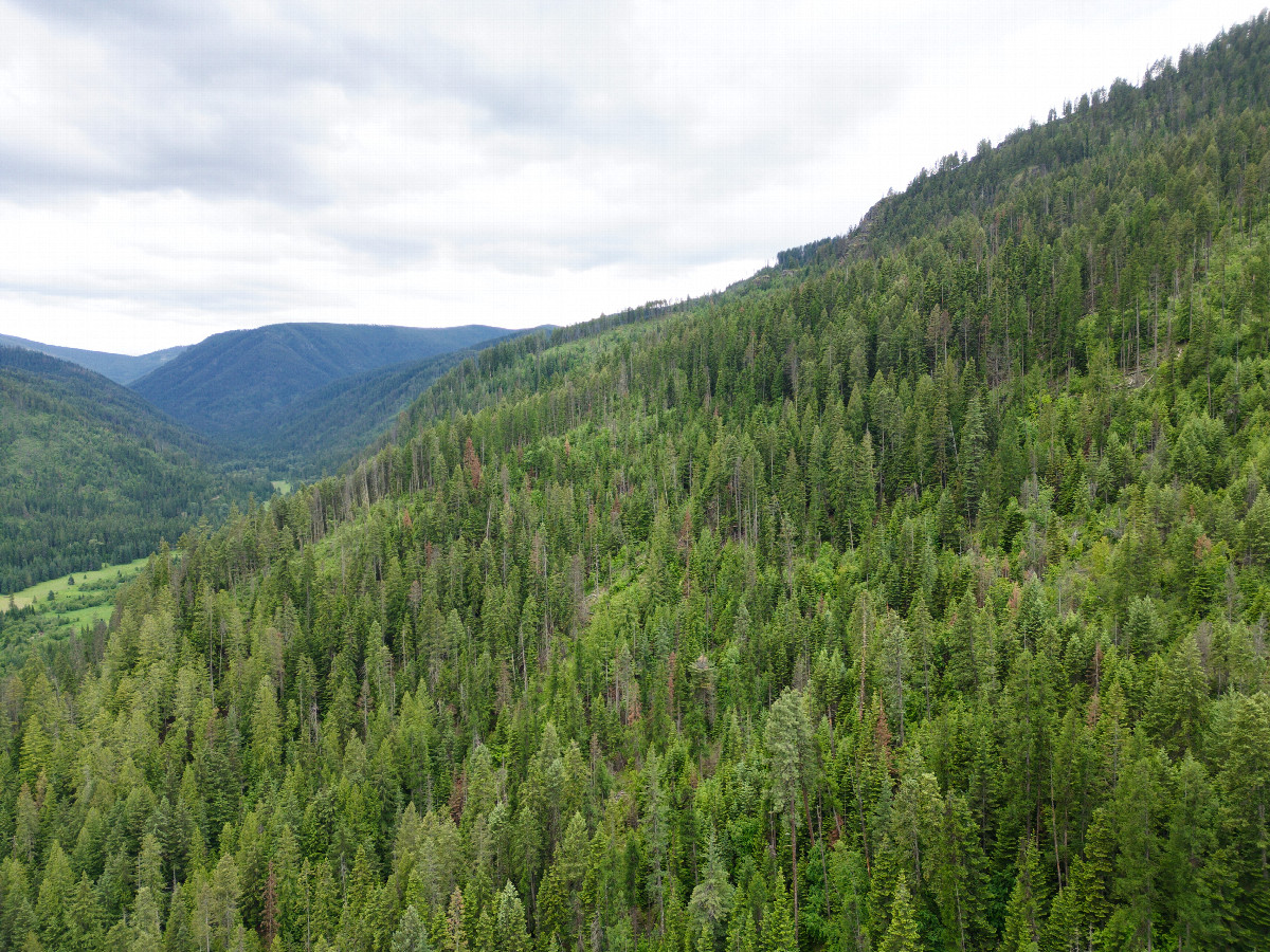 View South, from 120m above the point