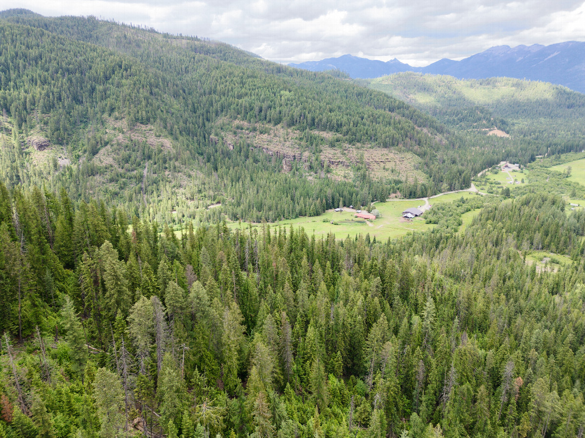 View North, from 120m above the point