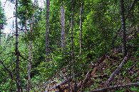 #3: View South