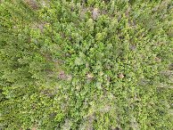 #7: Looking down on the point from a height of 120m