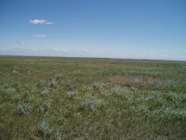 East
