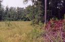 #2: Looking North from the confluence point