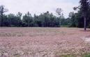 #7: Looking toward confluence point from road, 370 ft. away
