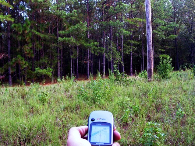 General Area (Looking North with Confluence 200 feet away)