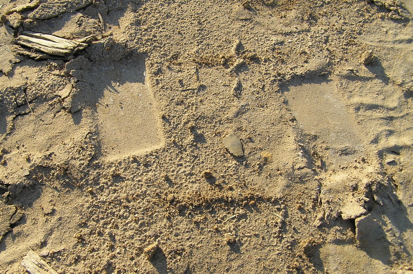 No More Trees:  Construction vehicle tracks mark the groundcover at this confluence.