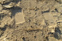 #4: No More Trees:  Construction vehicle tracks mark the groundcover at this confluence.