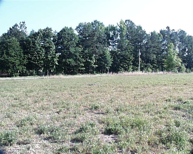 Looking north from the confluence