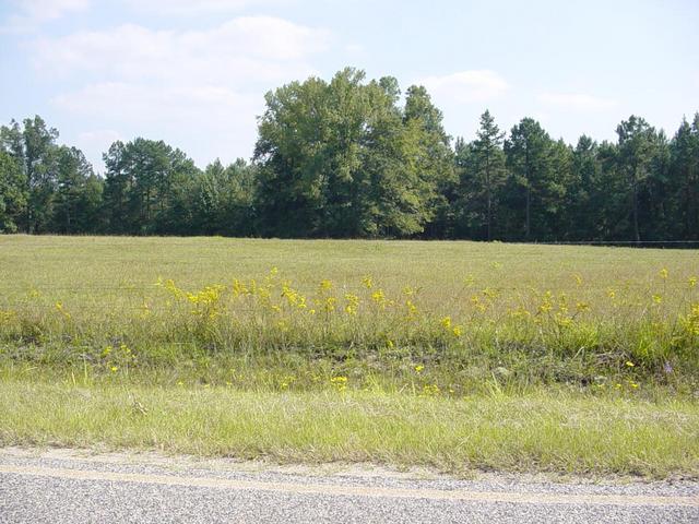 Confluence point as seen from the road