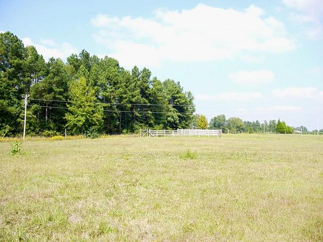 Looking North from the confluence point