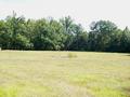 #4: Looking East from the confluence point