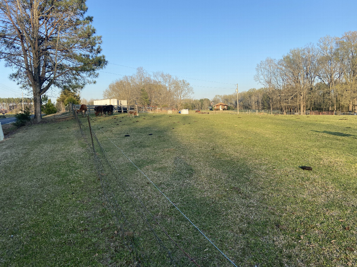 View to the east from the confluence point. 