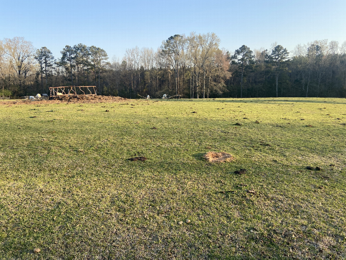 View to the south from the confluence point. 