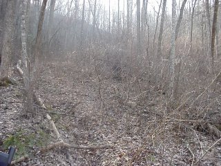 #1: Looking west toward the confluence