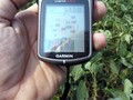 #6: GPS AT CONFLUENCE