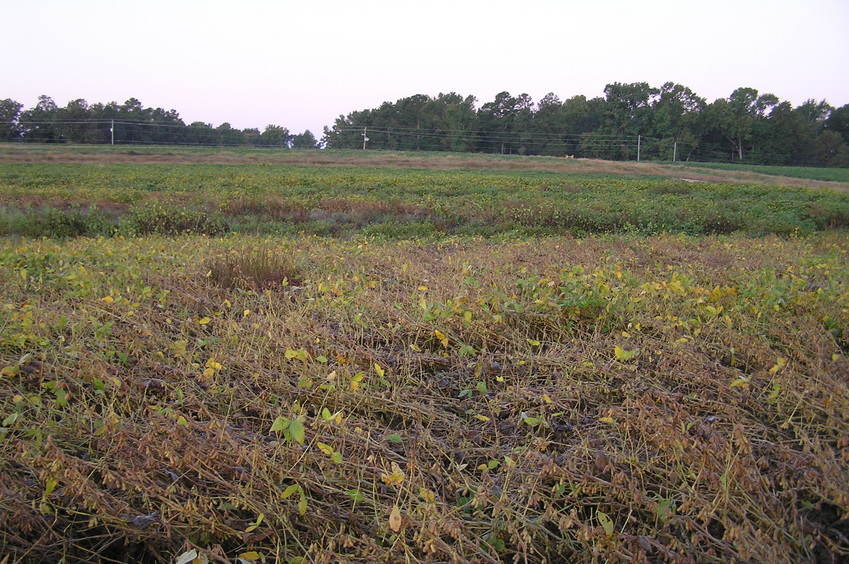 The confluence lies in the center foreground of this view to the south.