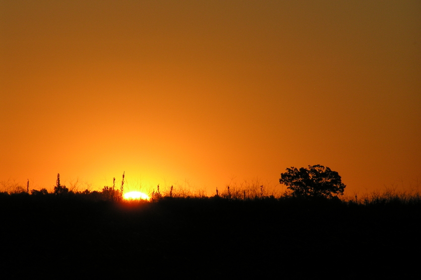 Sunrise at confluence site, to the east as I was walking away to the west.