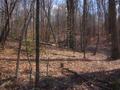 #2: Looking south from the confluence point.