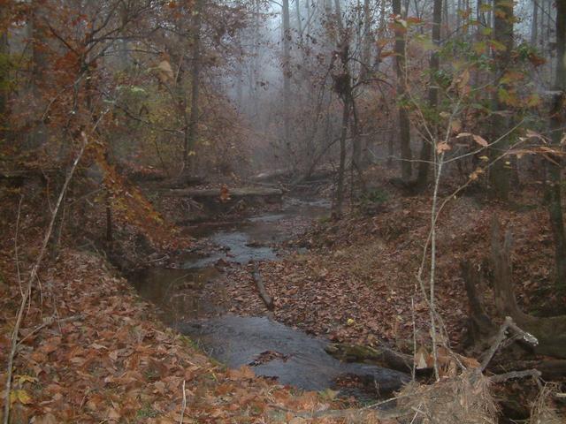 One of the misty stream crossings, about 60 meters southwest of the confluence.