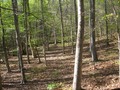 #3: View to the north.