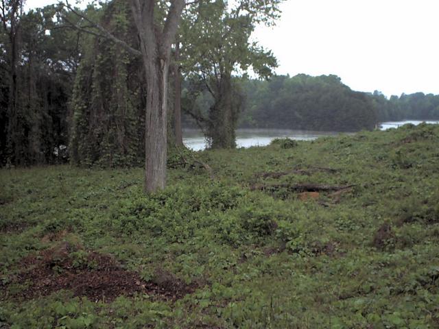 West, looking towards the manmade lake