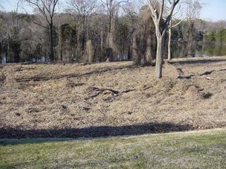 #1: Confluence point next to fallen branch