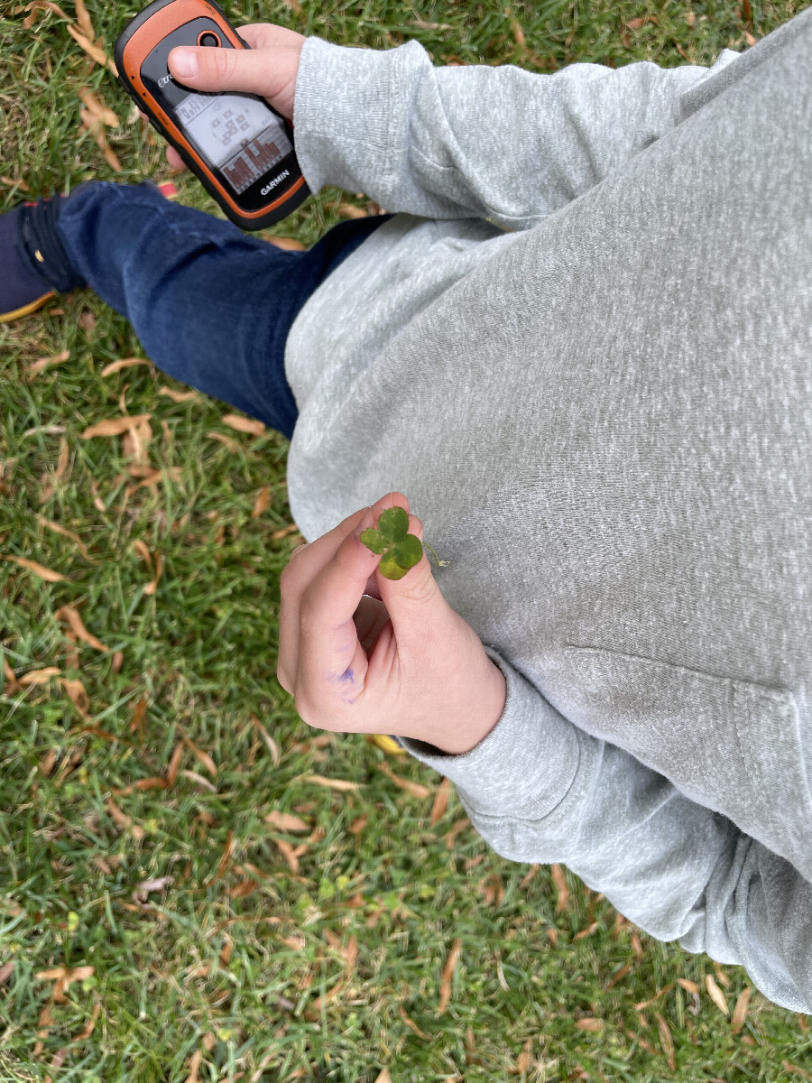 Four-leaf clover on our way back to the car, compliments of Finn with the eagle eyes