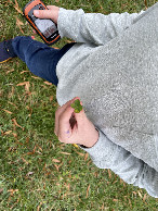 #10: Four-leaf clover on our way back to the car, compliments of Finn with the eagle eyes