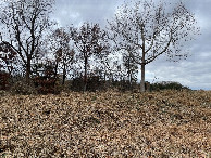 #3: View to the north