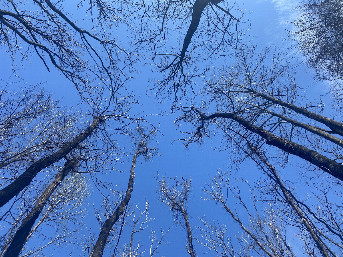 Sky over the confluence point. 