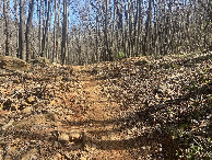 #10: Nearest trail to the confluence point. 